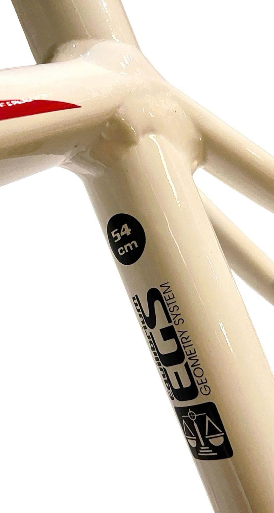 Aluminum road frame + fork ELEMENT