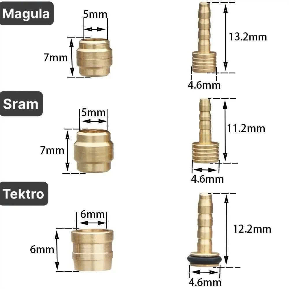 Grains de maïs de marque TRLREQ dans divers tubes d'huile
